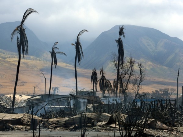 Апокалиптические лесные пожары на Гавайях указали на странности: уничтожен исторический город